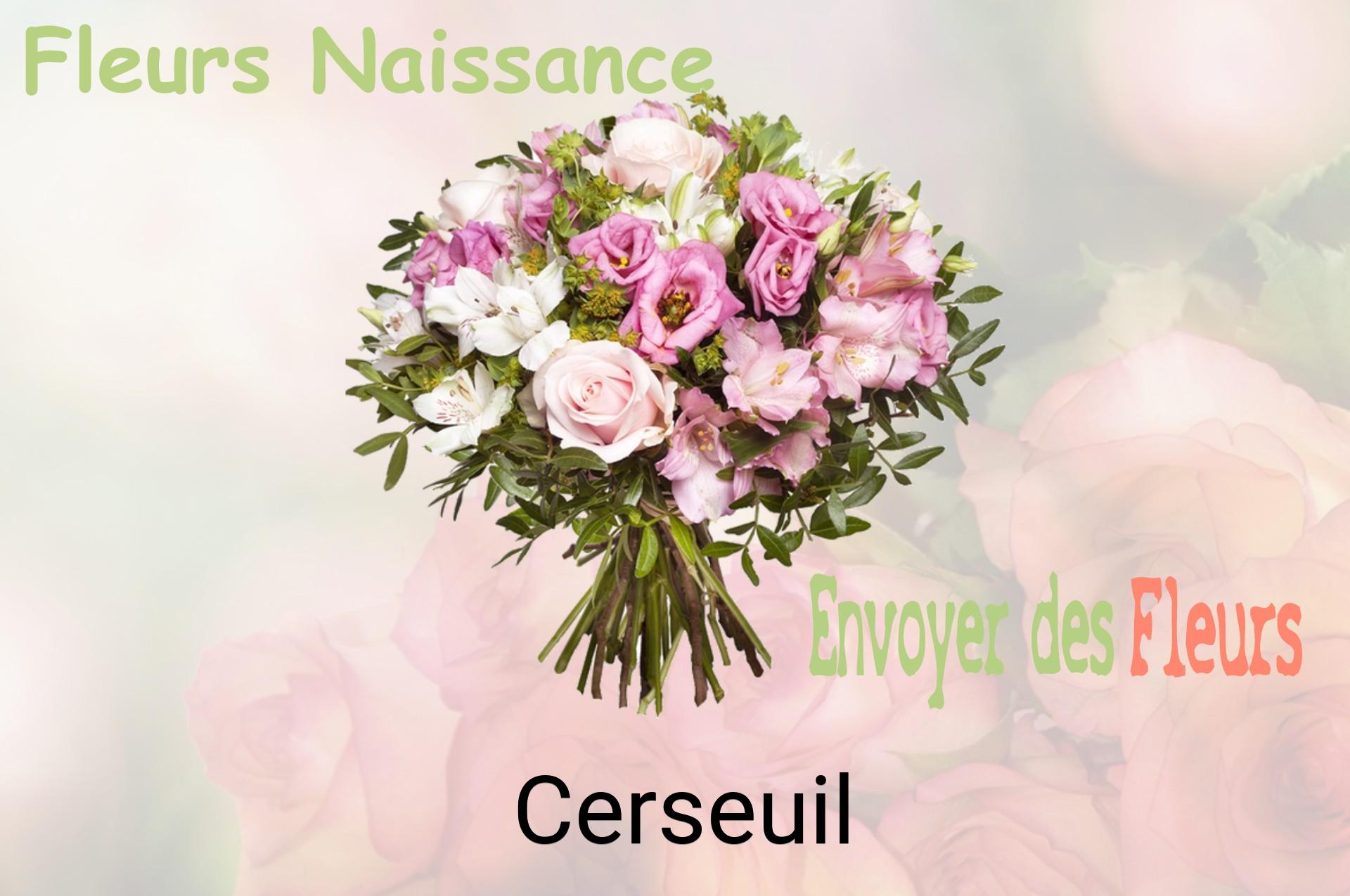 Bouquet de fleurs de naissance livré à Cerseuil